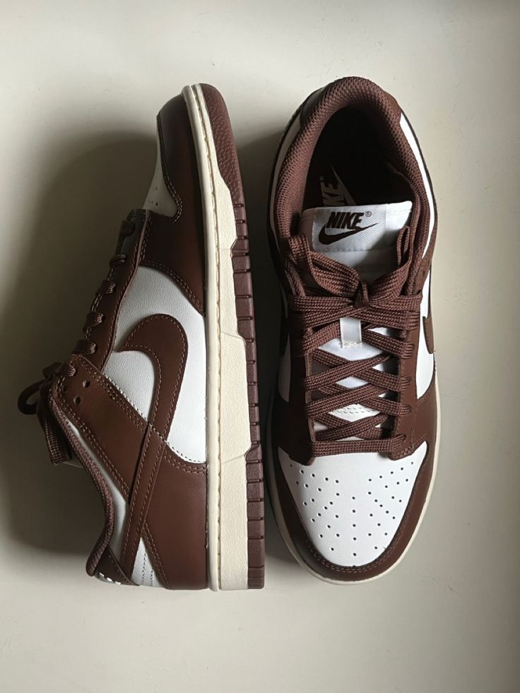Nike Dunk  Chocolate