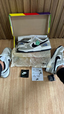 Nike Dunk The North Face